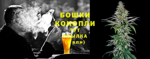 твердый Надым