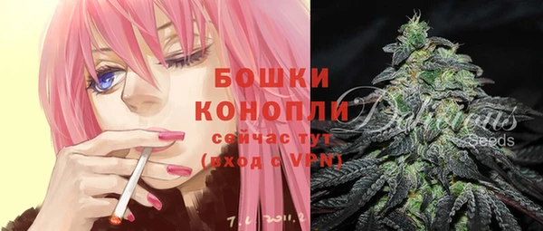 твердый Надым