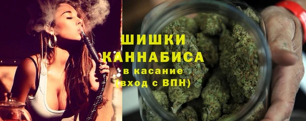 твердый Надым