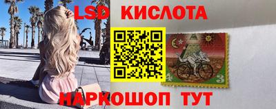 spice Кингисепп