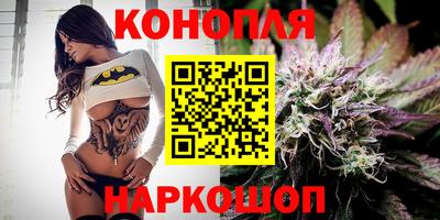 spice Кингисепп