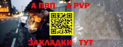 spice Кингисепп