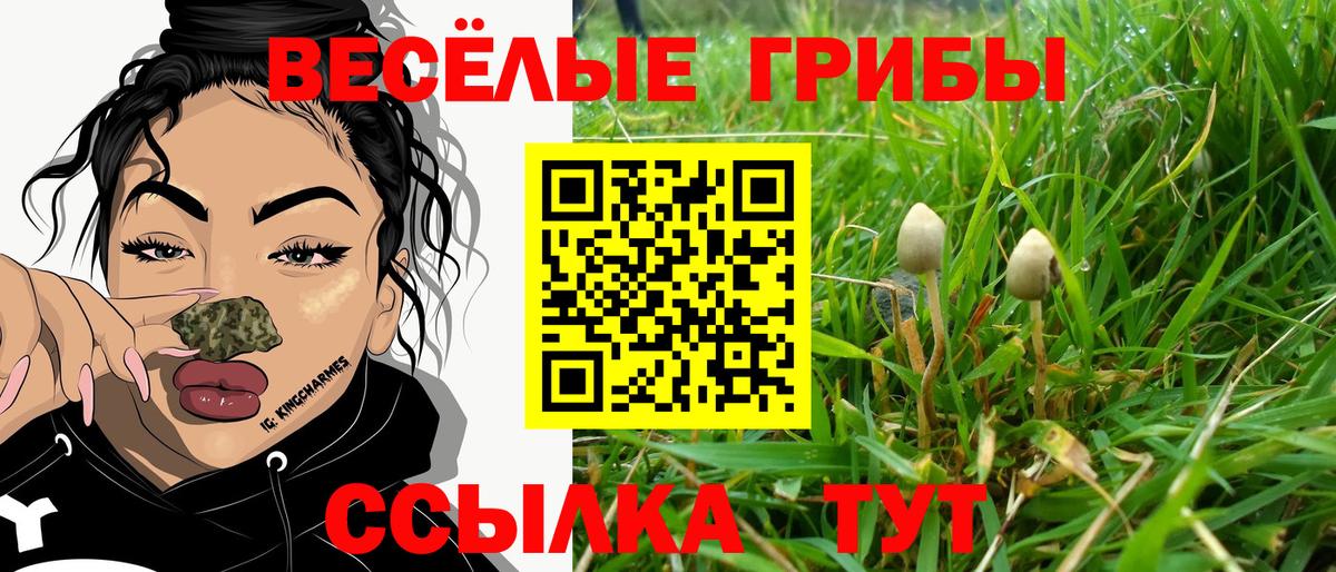 Псилоцибиновые грибы GOLDEN TEACHER  Галлюциногенные грибы прущие грибы  Вход с VPN  Киржач 