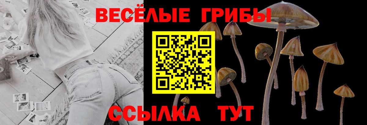 Галлюциногенные грибы Cubensis Киржач